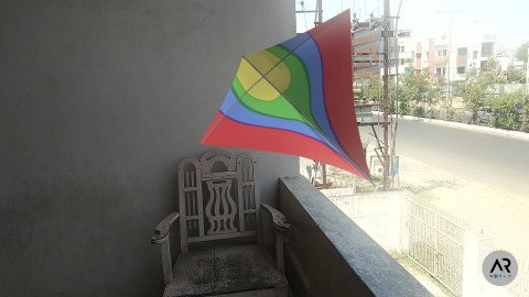 kitefly in the air