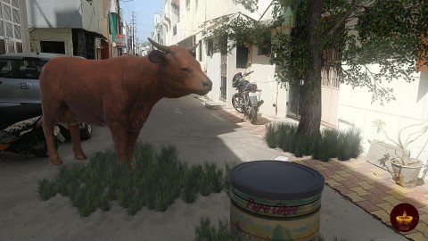Cow in AR