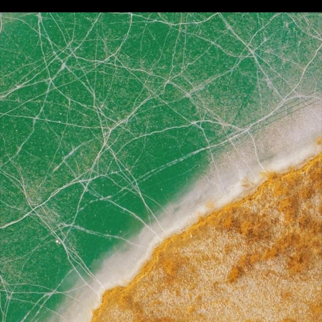 test2123