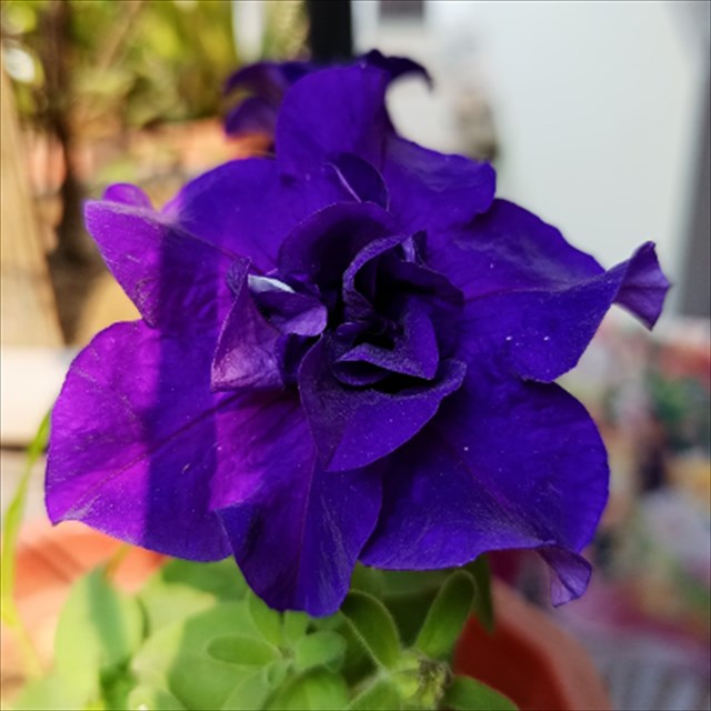 Prarthana123