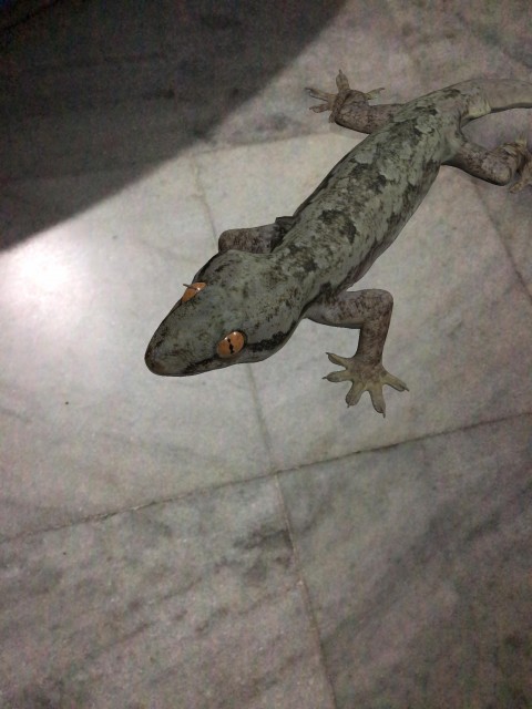 Nature at its best