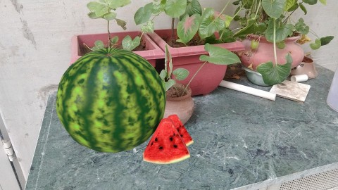 Amazing Watermelon