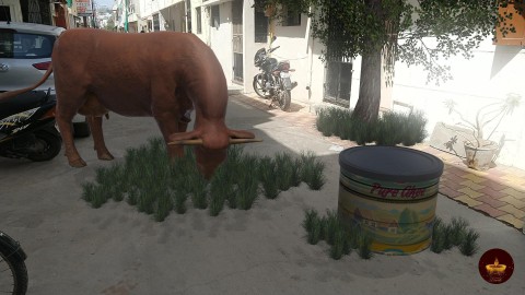 Cow eating grass