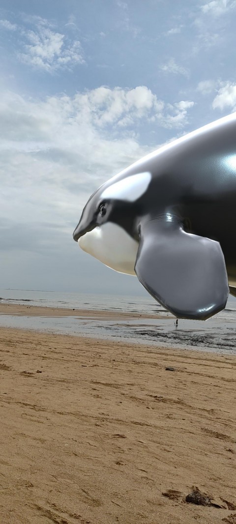 Happy Orca