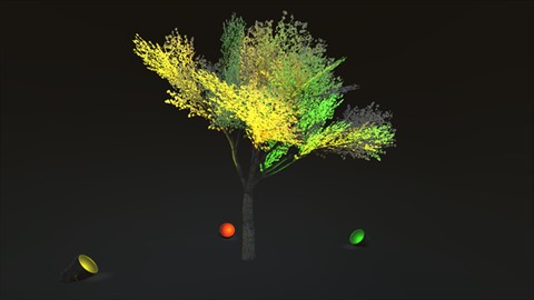 Lighting | Tree | Illumination