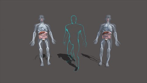 Experience with Avatar