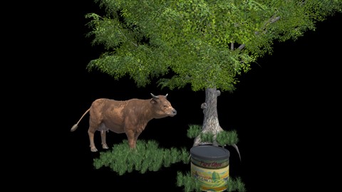 Cow