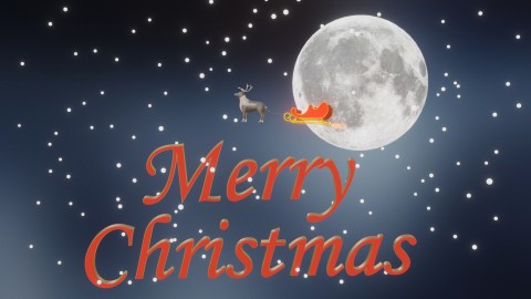 Merry Christmas Night Wish