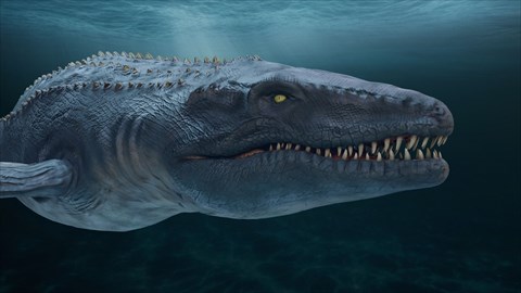 Mosasaurus Through Portal