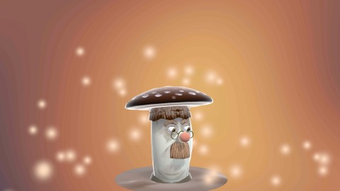 Mr.shiitake