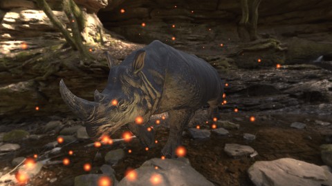 Fantasy Rhino walk