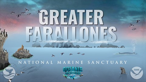 Greater Farallones National Marine Sanctuary | 50th Anniversary Edition AR Poster | NOAA