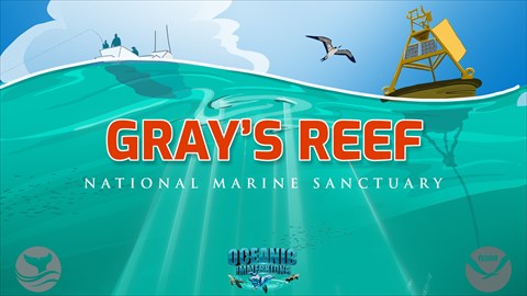 Gray's Reef National Marine Sanctuary | 50th Anniversary Edition AR Poster | NOAA