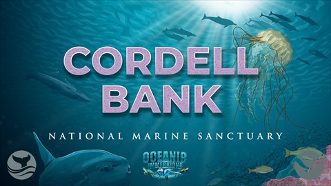 Cordell Bank National Marine Sanctuary | 50th Anniversary Edition AR Poster | NOAA