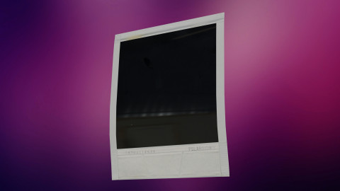 Polaroid